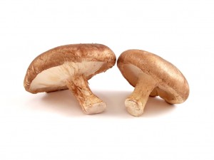 Le Maïtake bio est un champignon japonais réputé pour ses vertus antioxydantes et revigorantes.