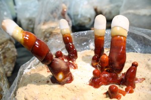 Le reishi bio rouge est une source importante en antioxydants naturels puissant pour la protection de vos cellules.